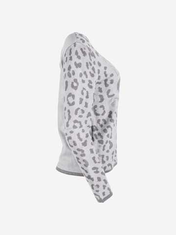 Passioni Pullover in Grau