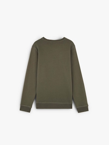 Scalpers Sweatshirt 'Fade' i grøn