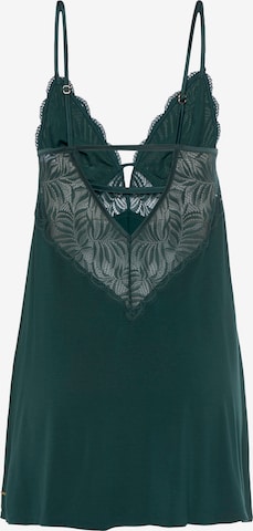 LASCANA Negligee in Green