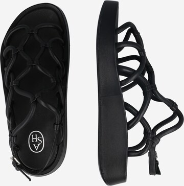 ASH Strap sandal 'VENUS' in Black