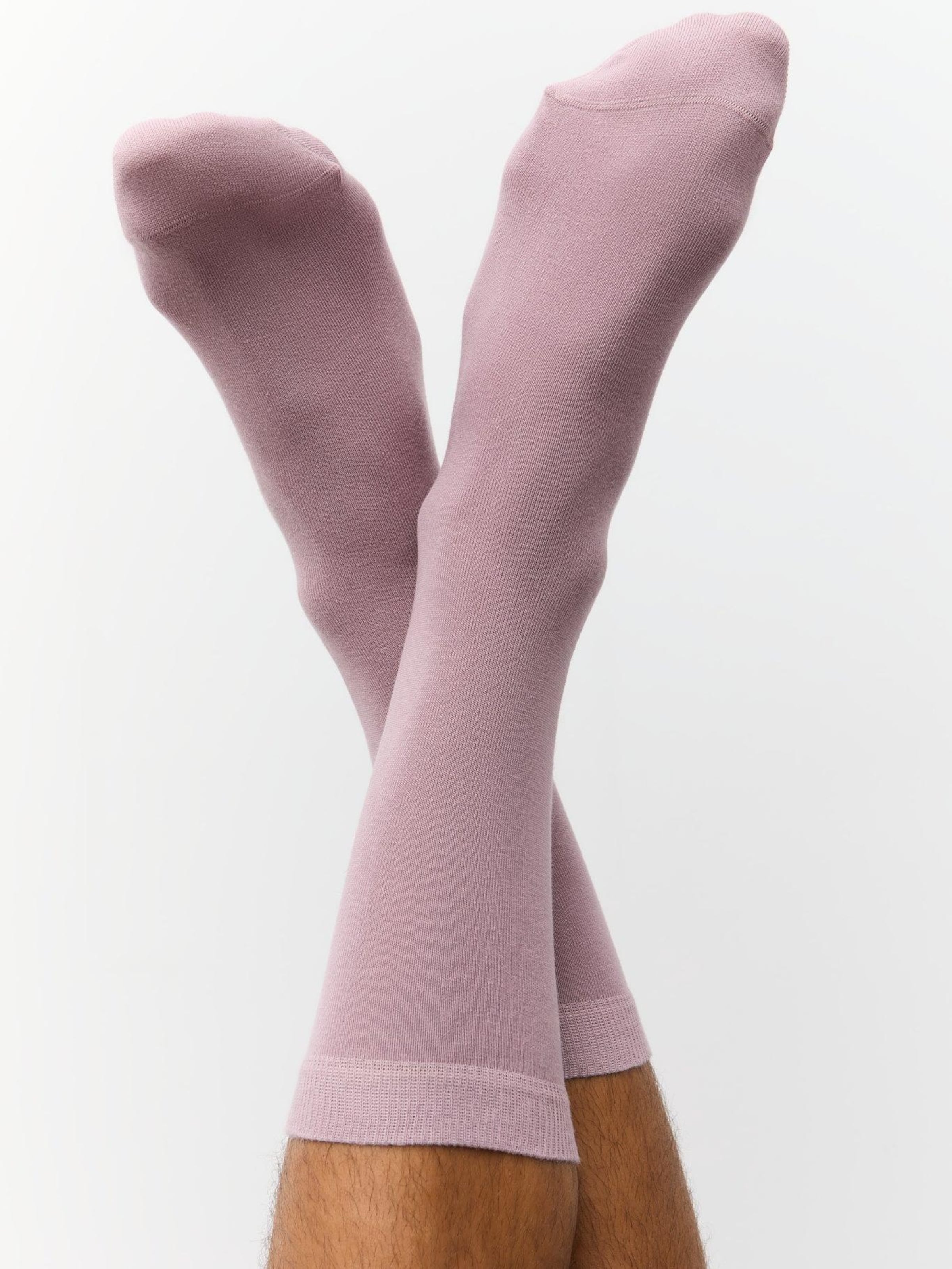 Albero Natur Socks in Purple: front