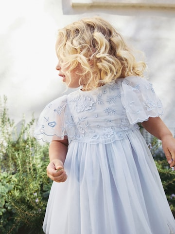 Next Dress in Blue