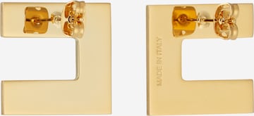 Elisabetta Franchi Earrings in Gold