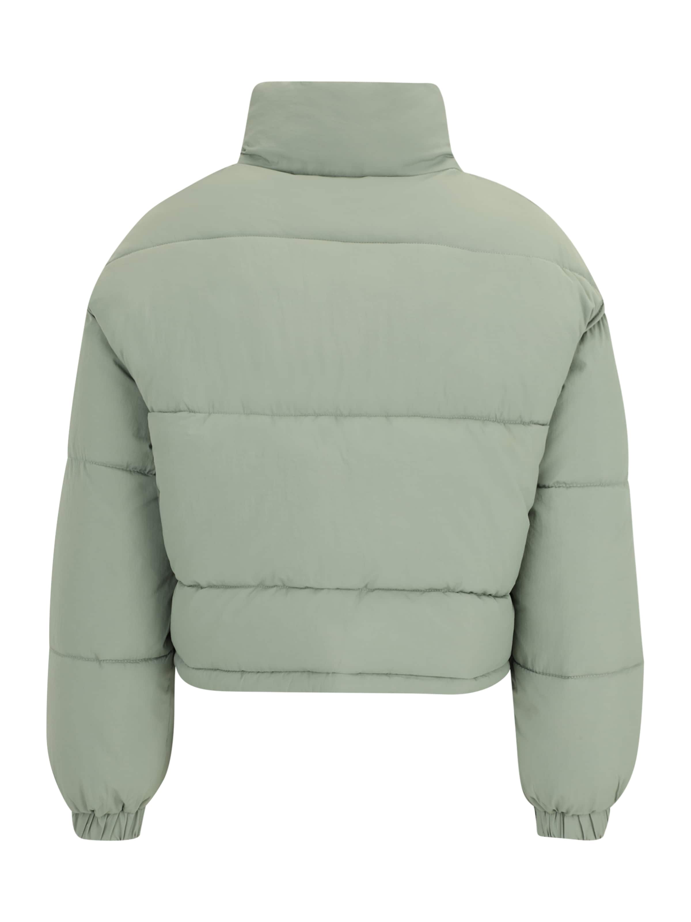 Only Petite Зимняя куртка 'ONLELLIE' в Зеленый