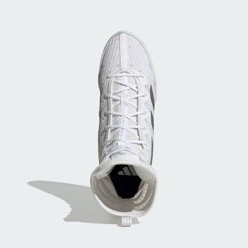Chaussure de sport 'Box Hog 4' ADIDAS PERFORMANCE en blanc