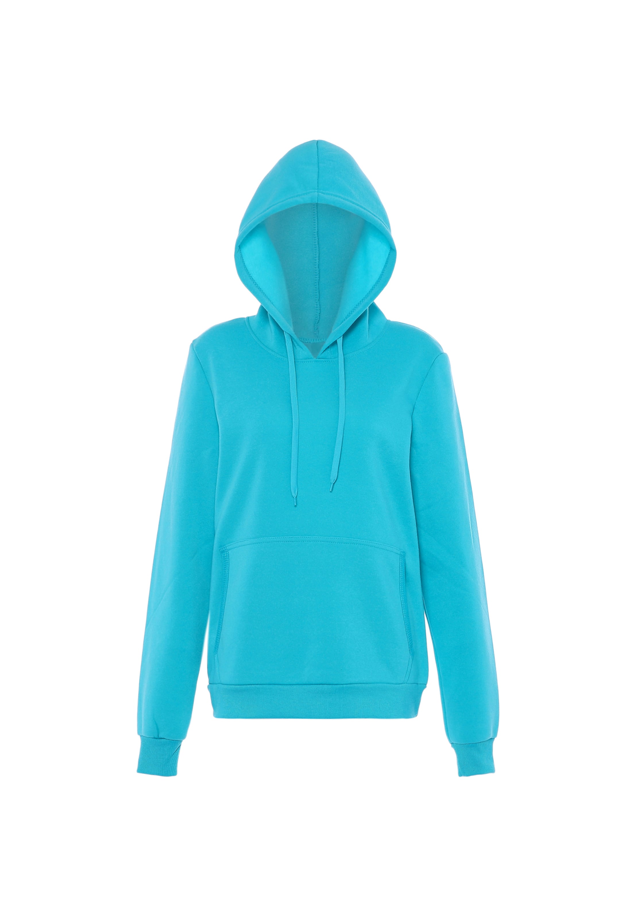 NALLY Sweatshirt in Blue: front