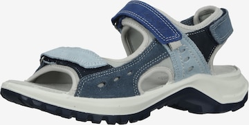 IMAC Hiking Sandals in Blue: front