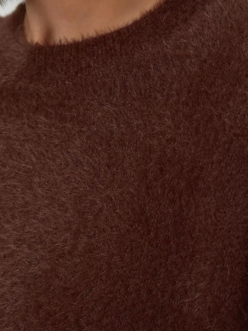 Pull-over 'Pullover' Hiccup en marron