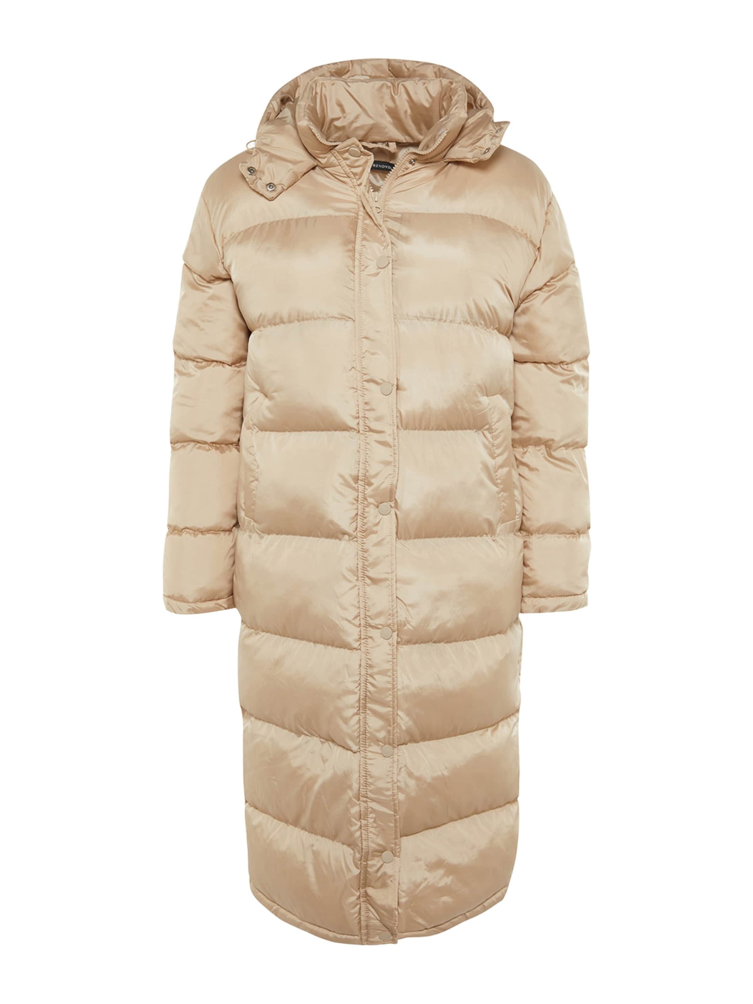 Trendyol Zimní kabát – béžová: přední strana