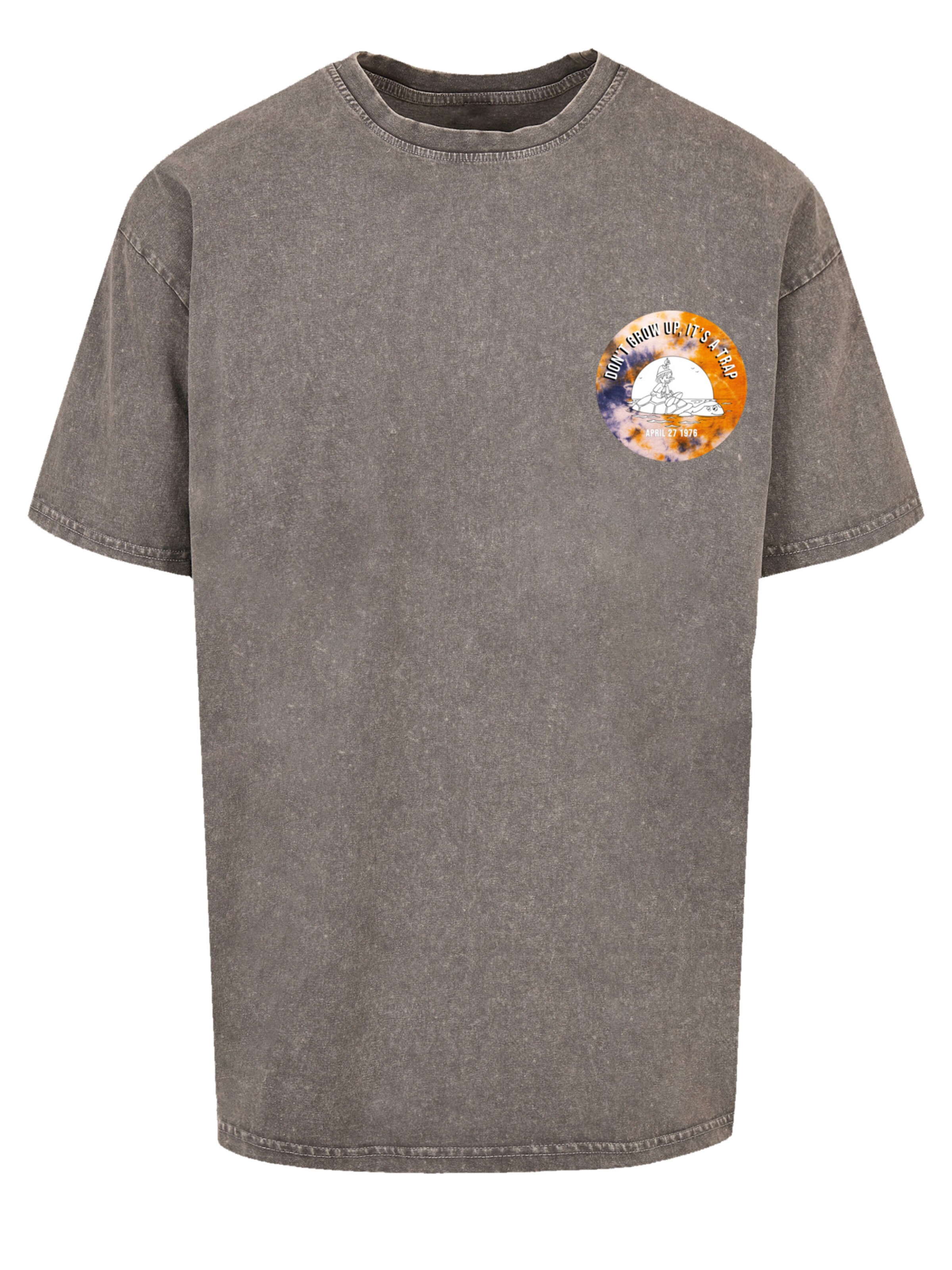 F4NT4STIC Shirt in Grijs: voorkant