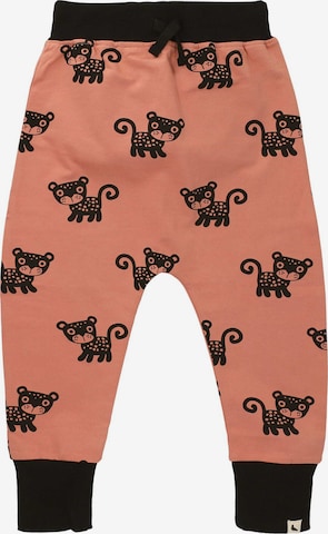 Turtledove London Tapered Hose in Orange: Vorderseite