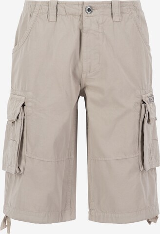 Pantalon cargo ALPHA INDUSTRIES en beige : devant