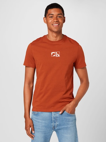 Calvin Klein T-Shirt in Braun: predná strana