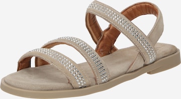 Apple of Eden Strap Sandals 'ARIELY' in Grey: front