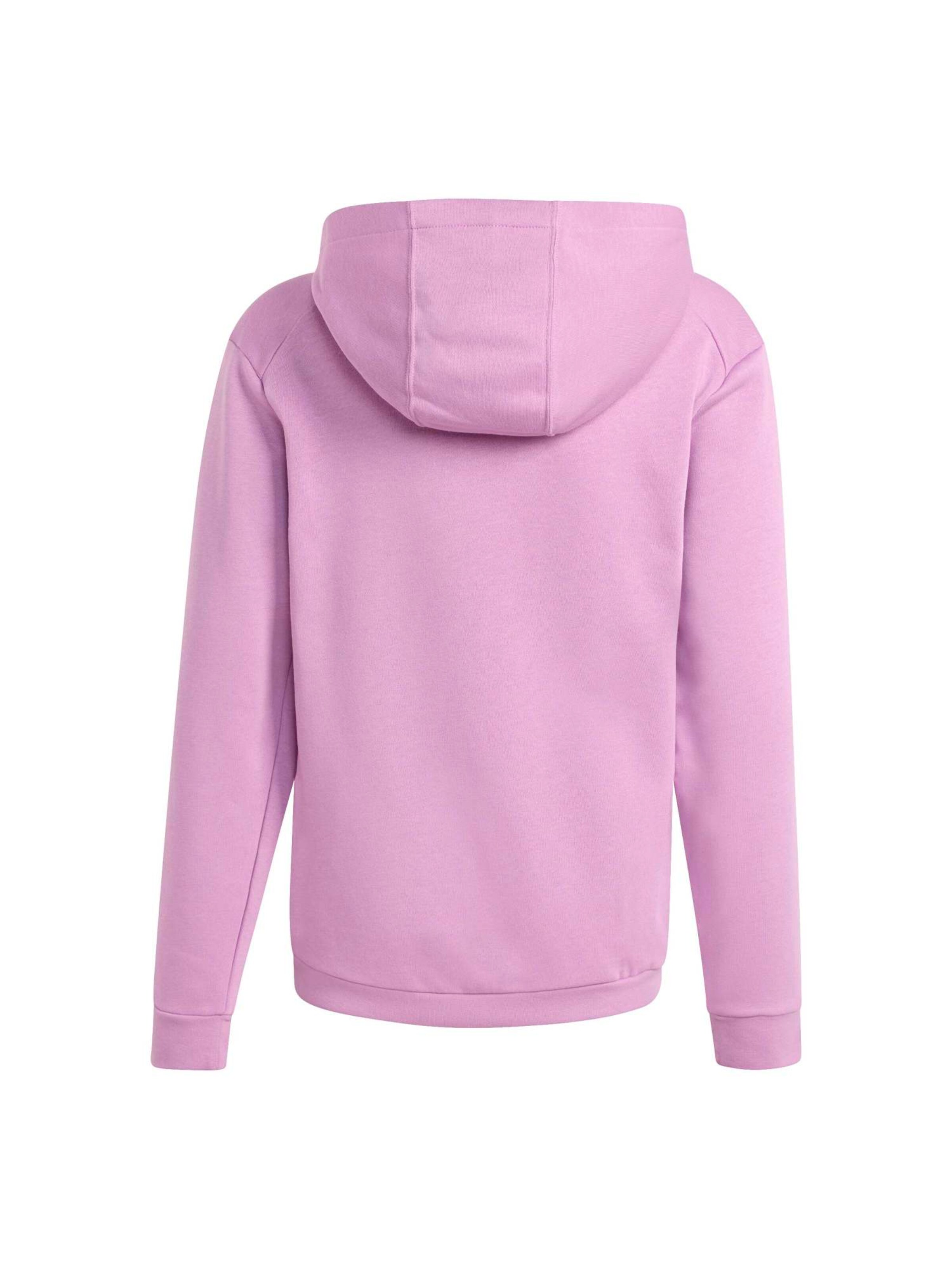 ADIDAS TERREX Urheilullinen collegepaita värissä lila