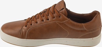 JOMA Sneaker low 'CCLAPS' in Braun: Vorderseite