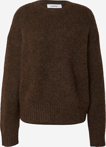 Pull-over everly® en marron : devant