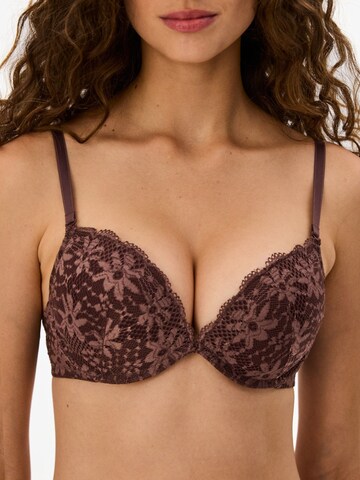Penti Push-up Nedrček 'BHs & Bralettes' | rjava barva