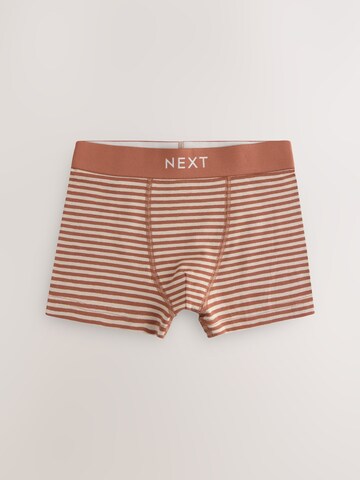 Next Badehose in Mischfarben