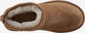 Bearpaw Boots in Braun