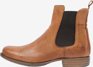 DreiMaster Vintage Chelsea Boots in Brown: front