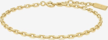 ANIA HAIE Armband in Gold: Vorderseite