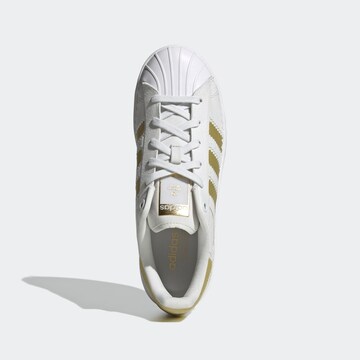 ADIDAS ORIGINALS - Sapatilhas baixas 'Superstar' em branco