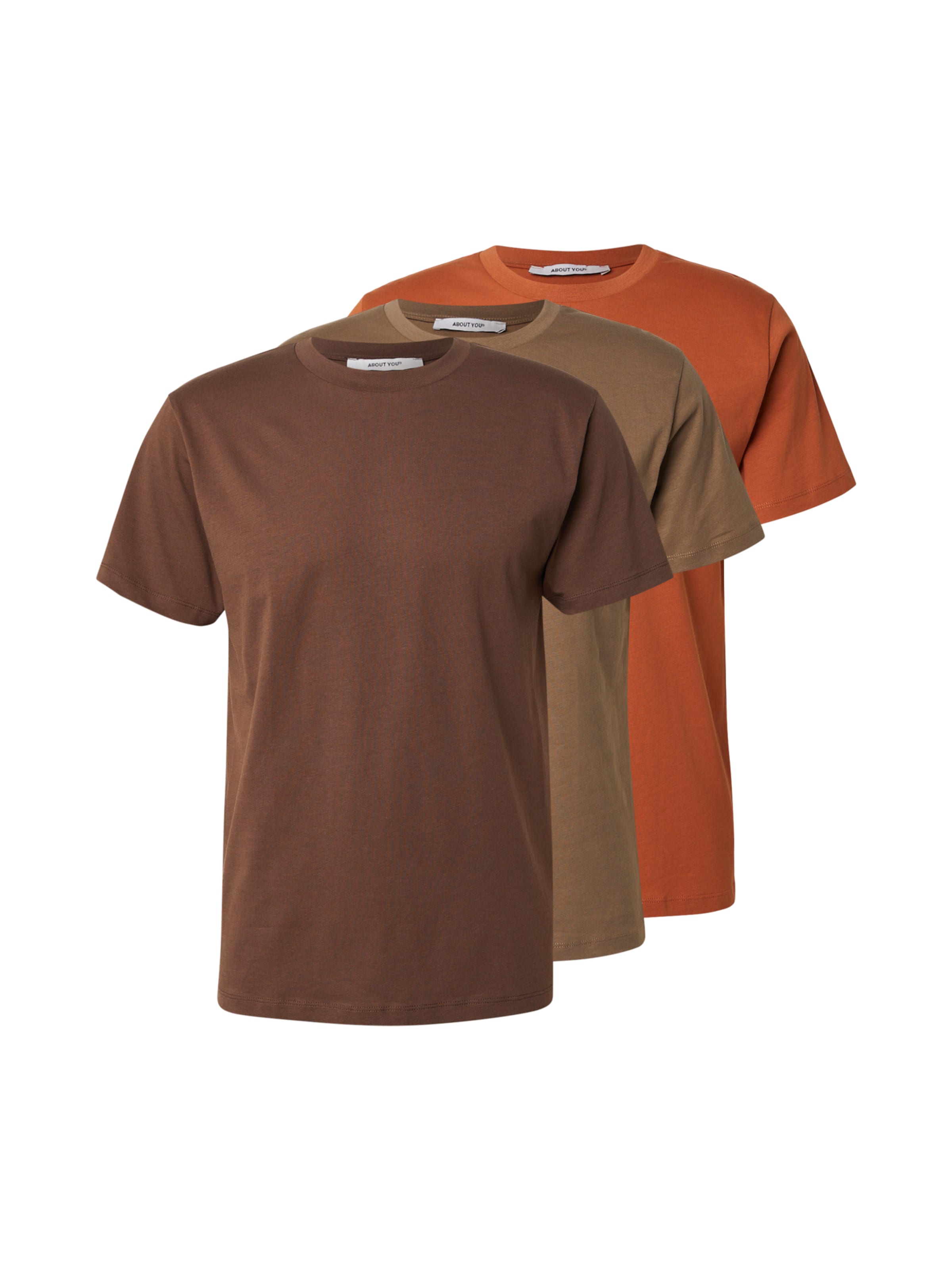 T-Shirt 'Len' ABOUT YOU en marron : devant