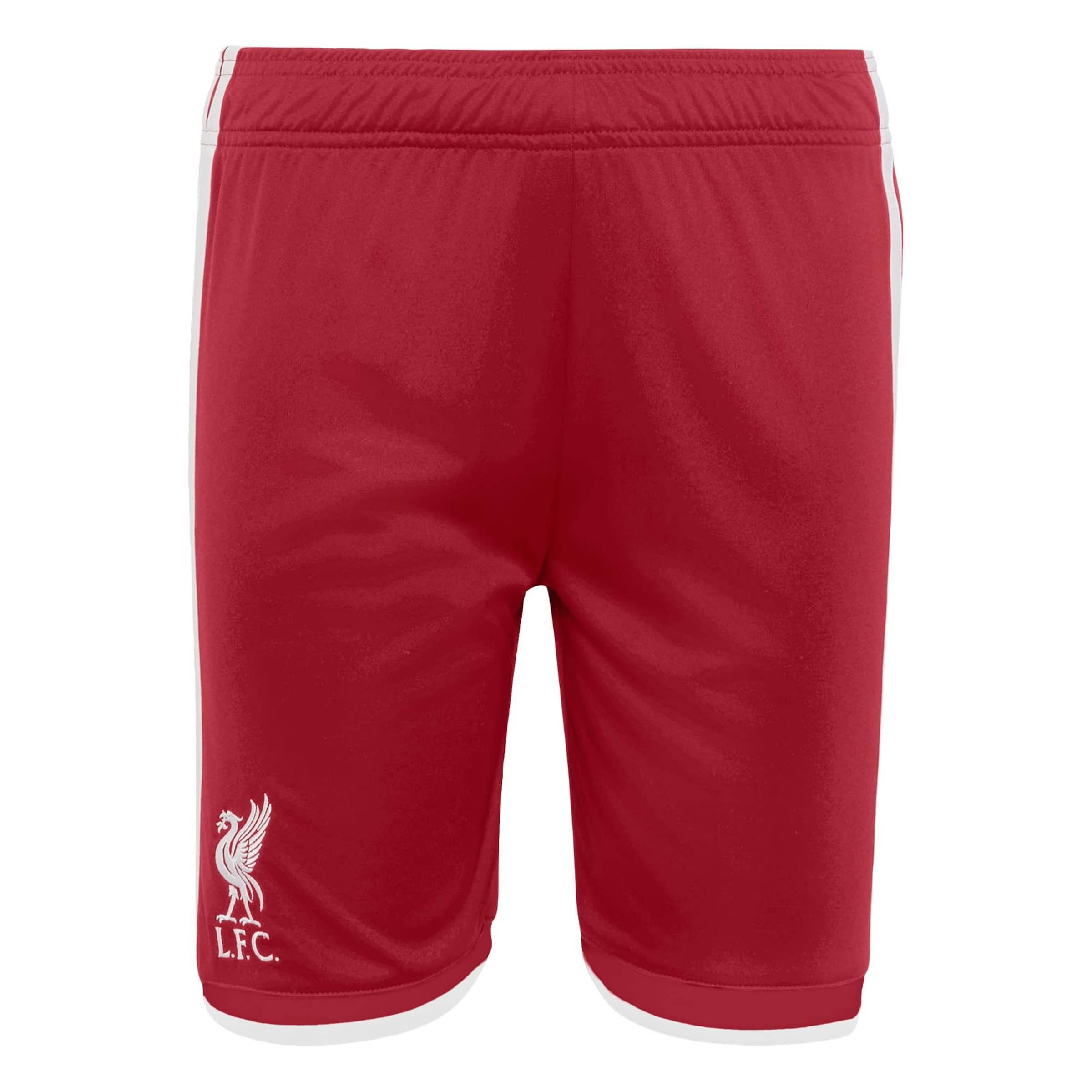 ADIDAS PERFORMANCE - regular Pantalón deportivo 'FC Liverpool 26/27' en rojo: frente
