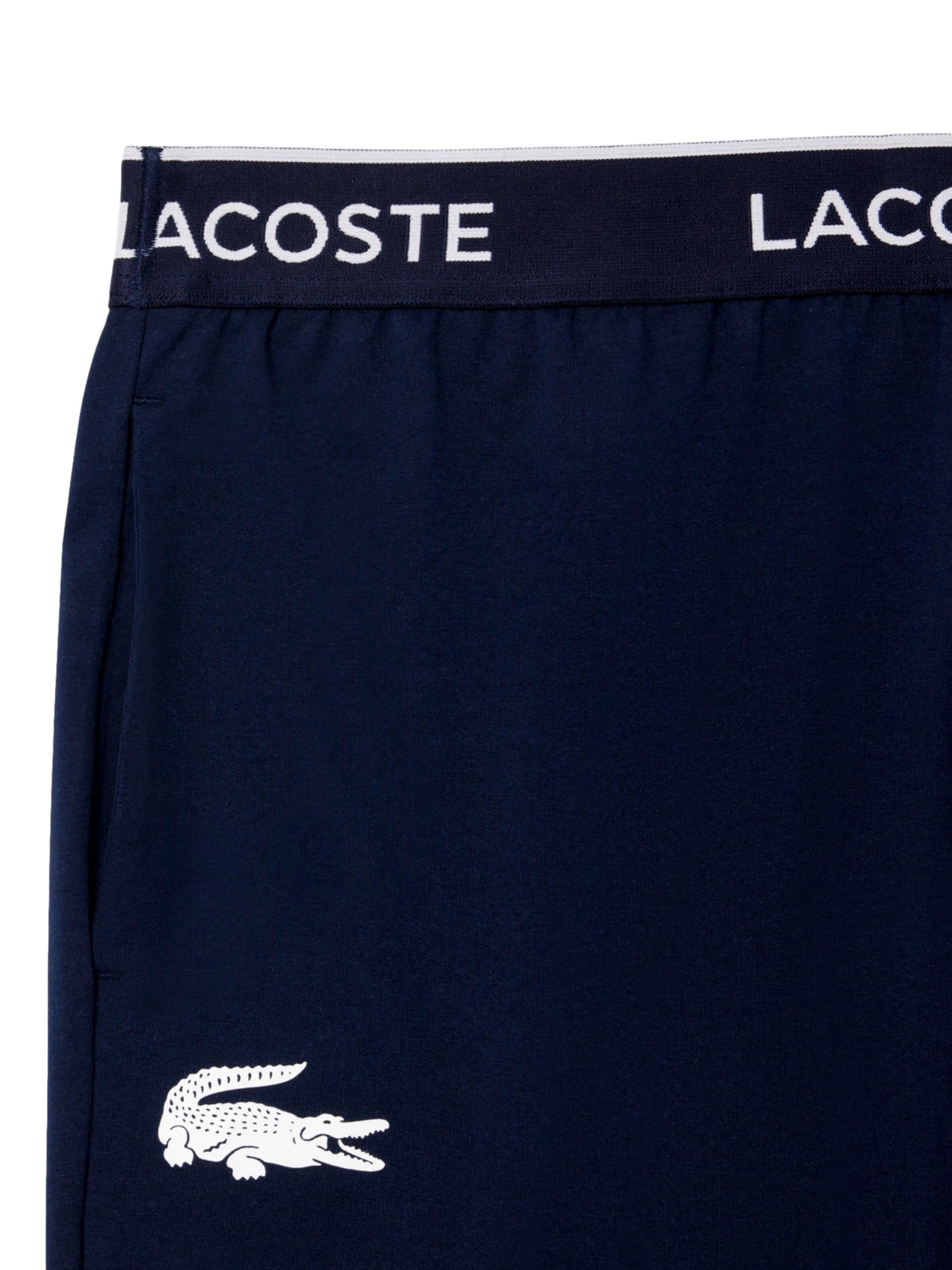 regular Pantaloni funzionali di LACOSTE in blu