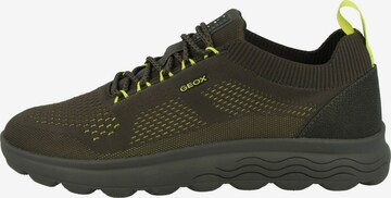 Sneaker bassa 'Spherica' di GEOX in verde