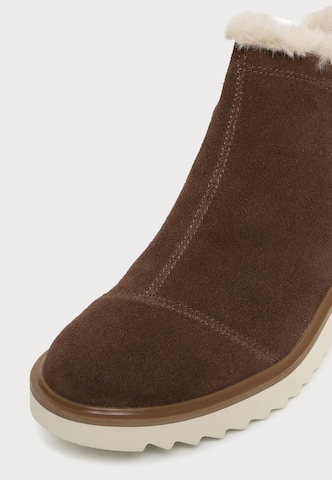 TOMS Enkellaarsjes 'Hot Cocoa' in Bruin