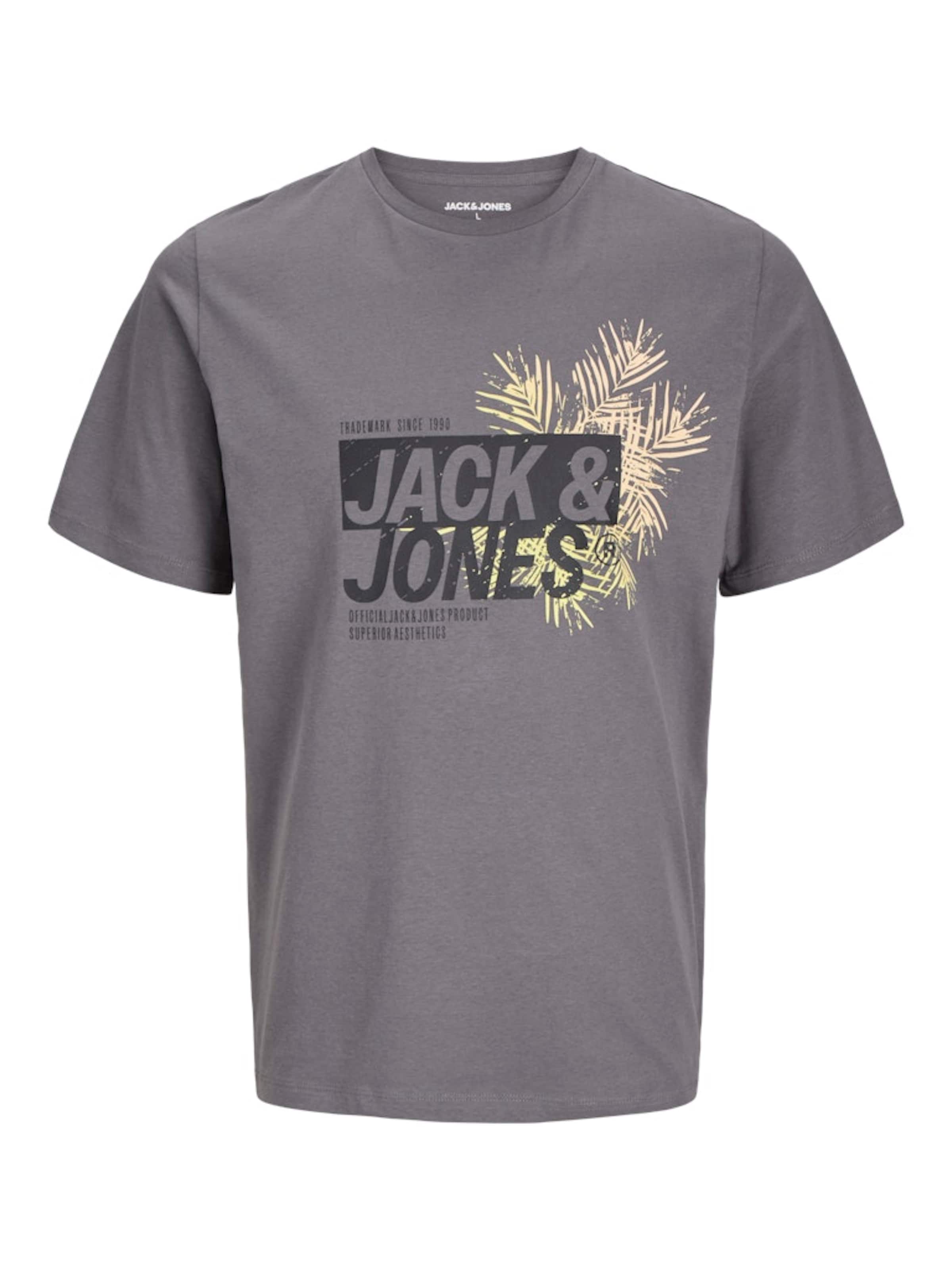 JACK & JONES Тениска 'JJJaxon' в сиво: отпред