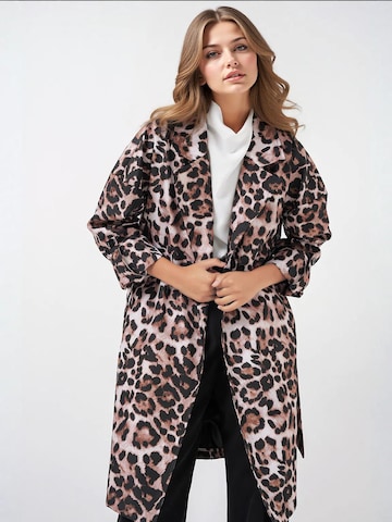 Bigdart Between-seasons coat in Brown