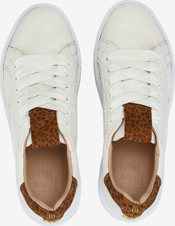 Crickit Sneakers 'Harper' in White