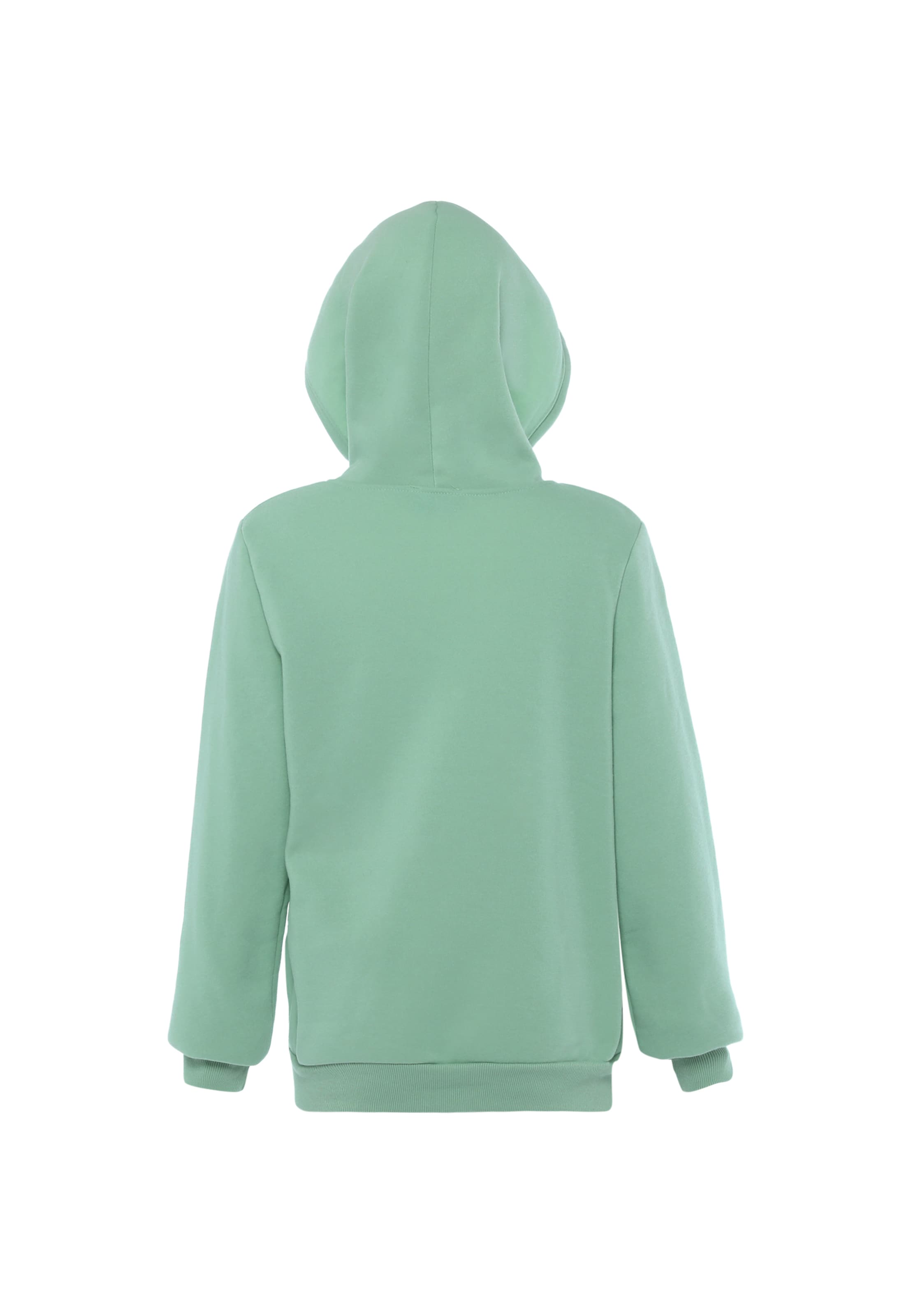 SANIKA Sweat jacket in Green