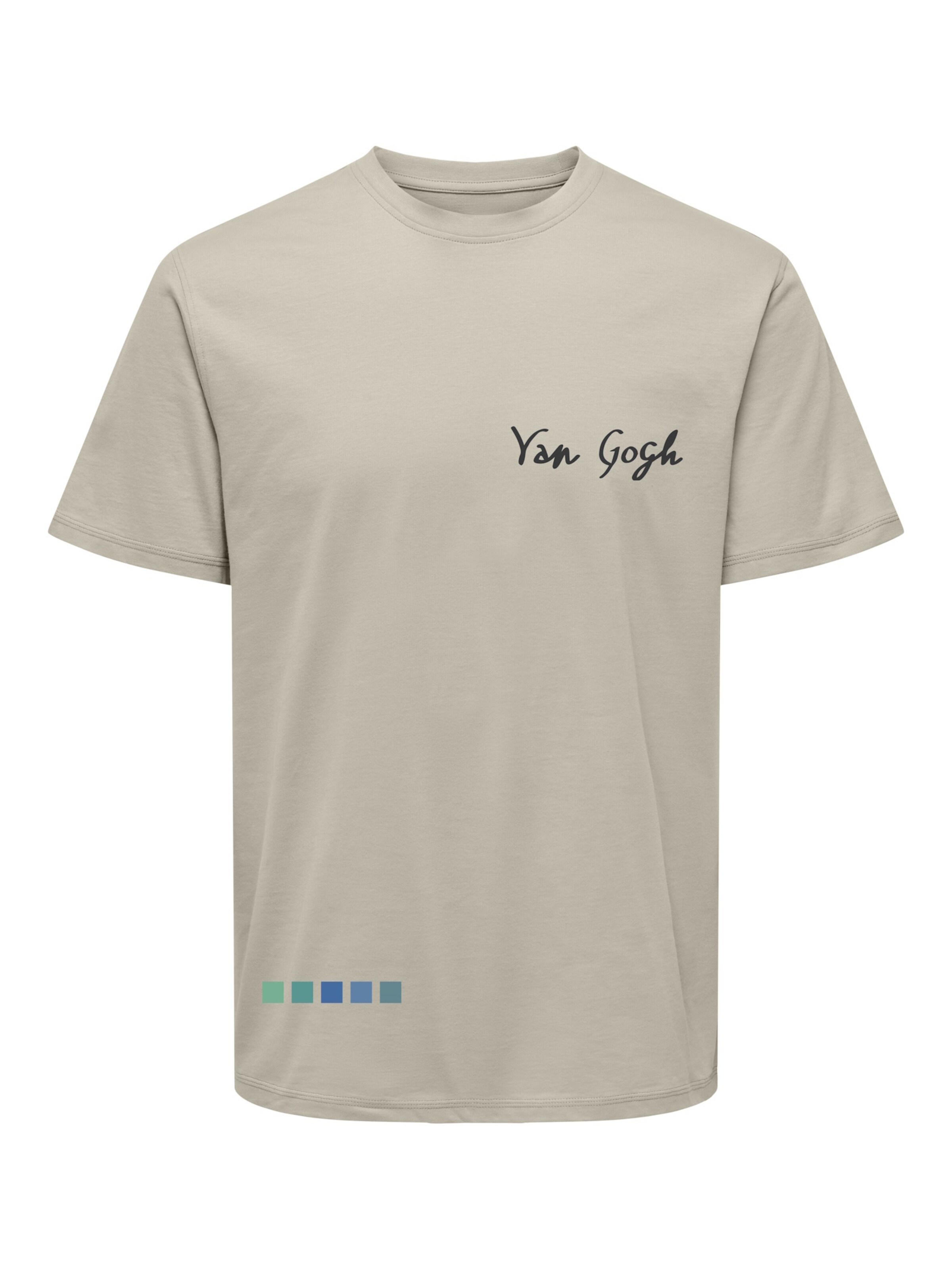 Maglietta 'Van Gogh' di Only & Sons in grigio: frontale