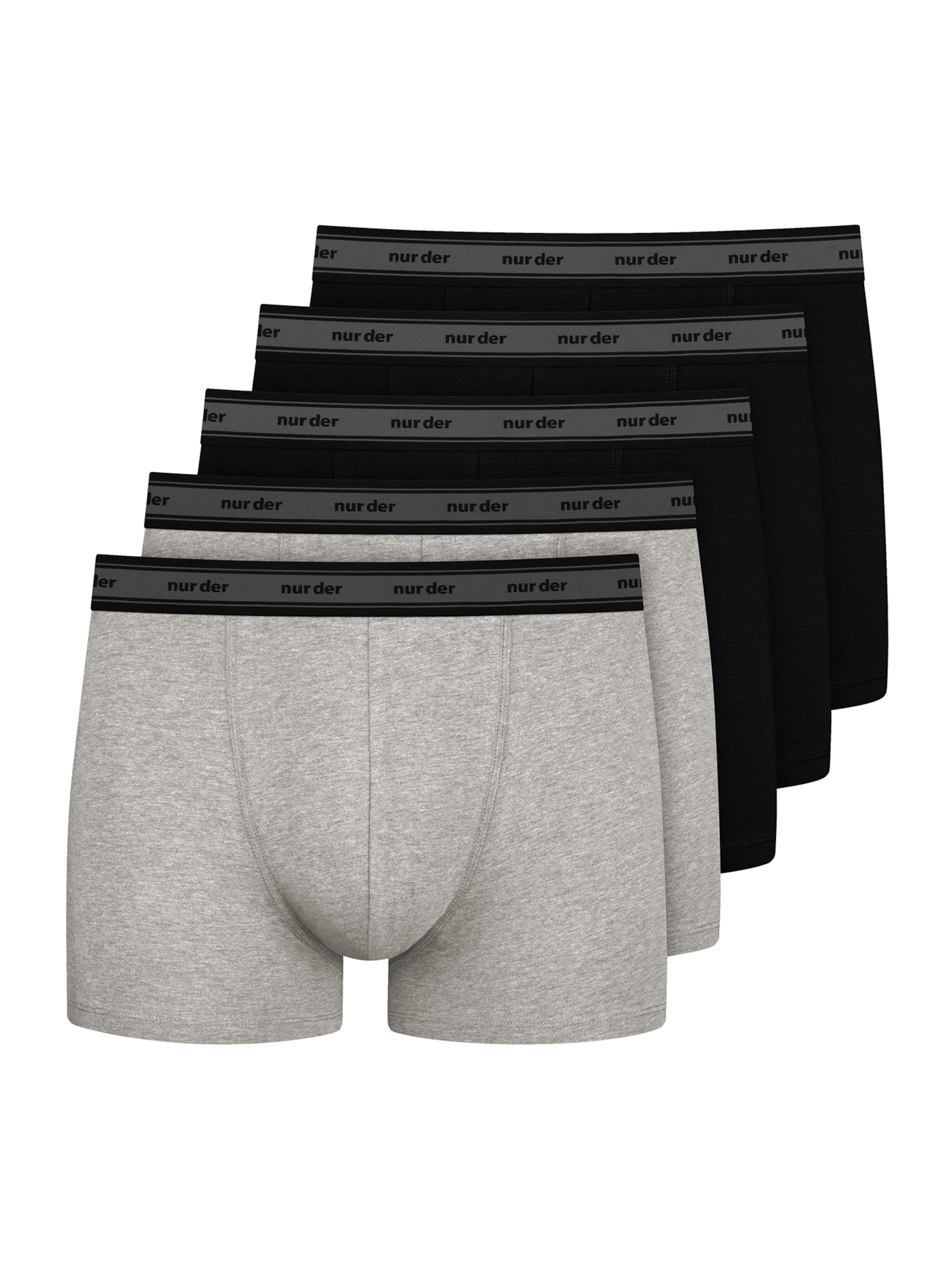 Nur Der Boxer shorts ' Organic Cotton ' in Grey: front