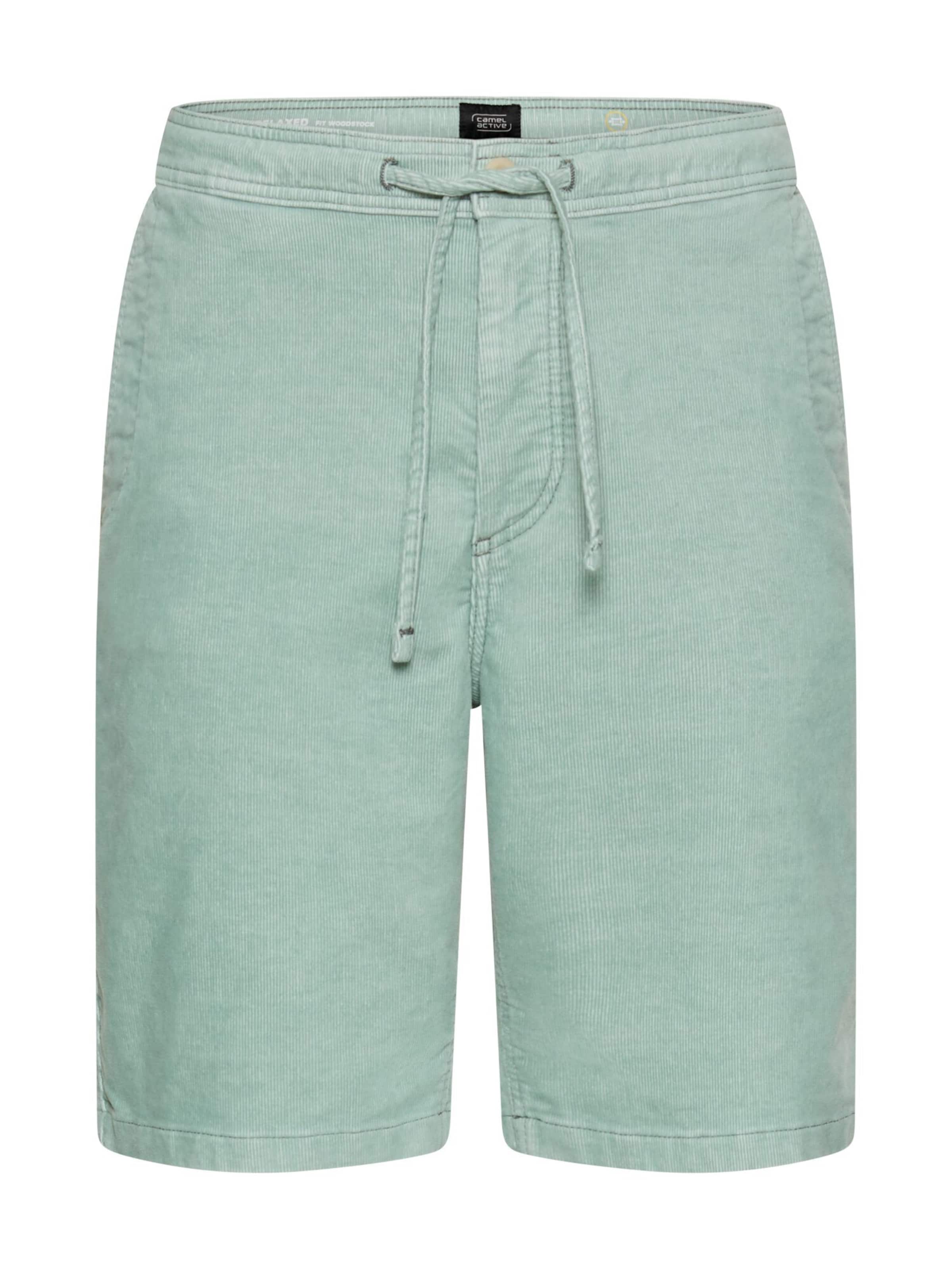 CAMEL ACTIVE Pants in Green: front