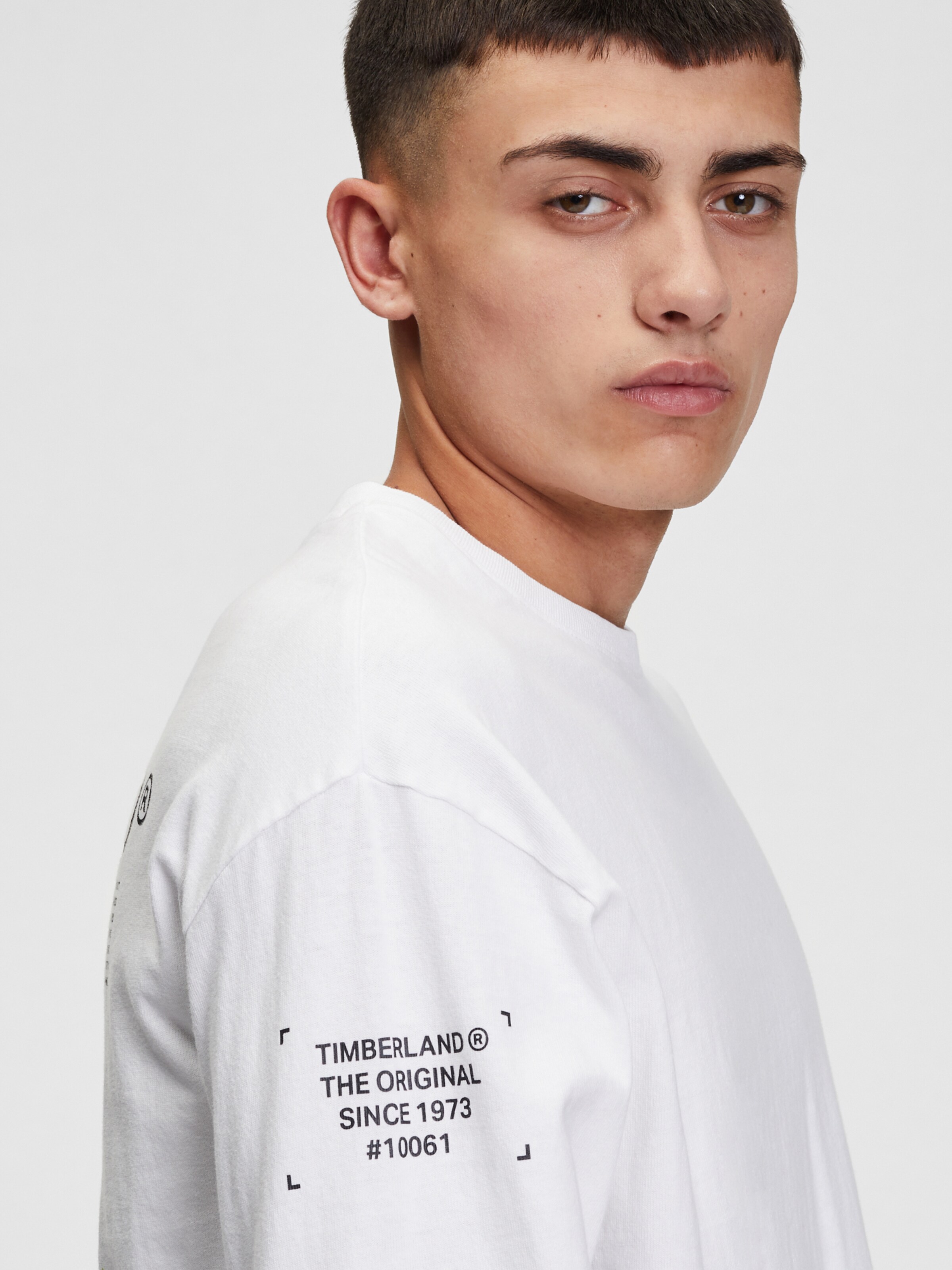 Vêtements T-Shirt TIMBERLAND en Blanc 
