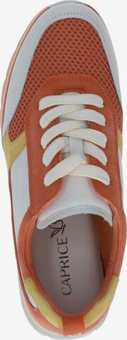 CAPRICE Sneakers laag in Gemengde kleuren