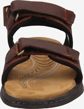 CLARKS Sandalen 'Hapsford Creek' in Bruin