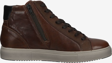 IGI&CO High-Top Sneakers in Brown