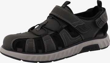 Sandalo di Westland in nero: frontale