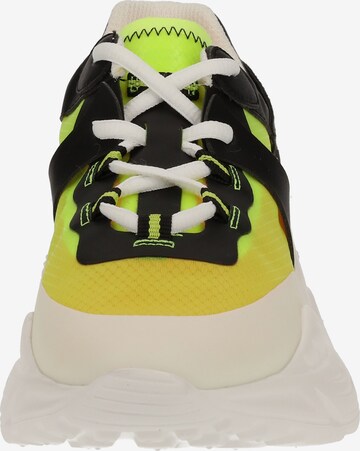 STEVE MADDEN Sneakers in Mixed colors