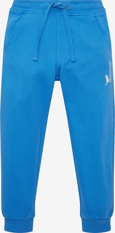 TOM TAILOR Tapered Pants in Blue: front