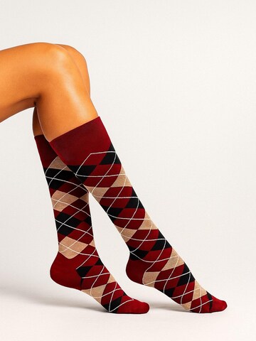 Lycille Knee High Socks in Red