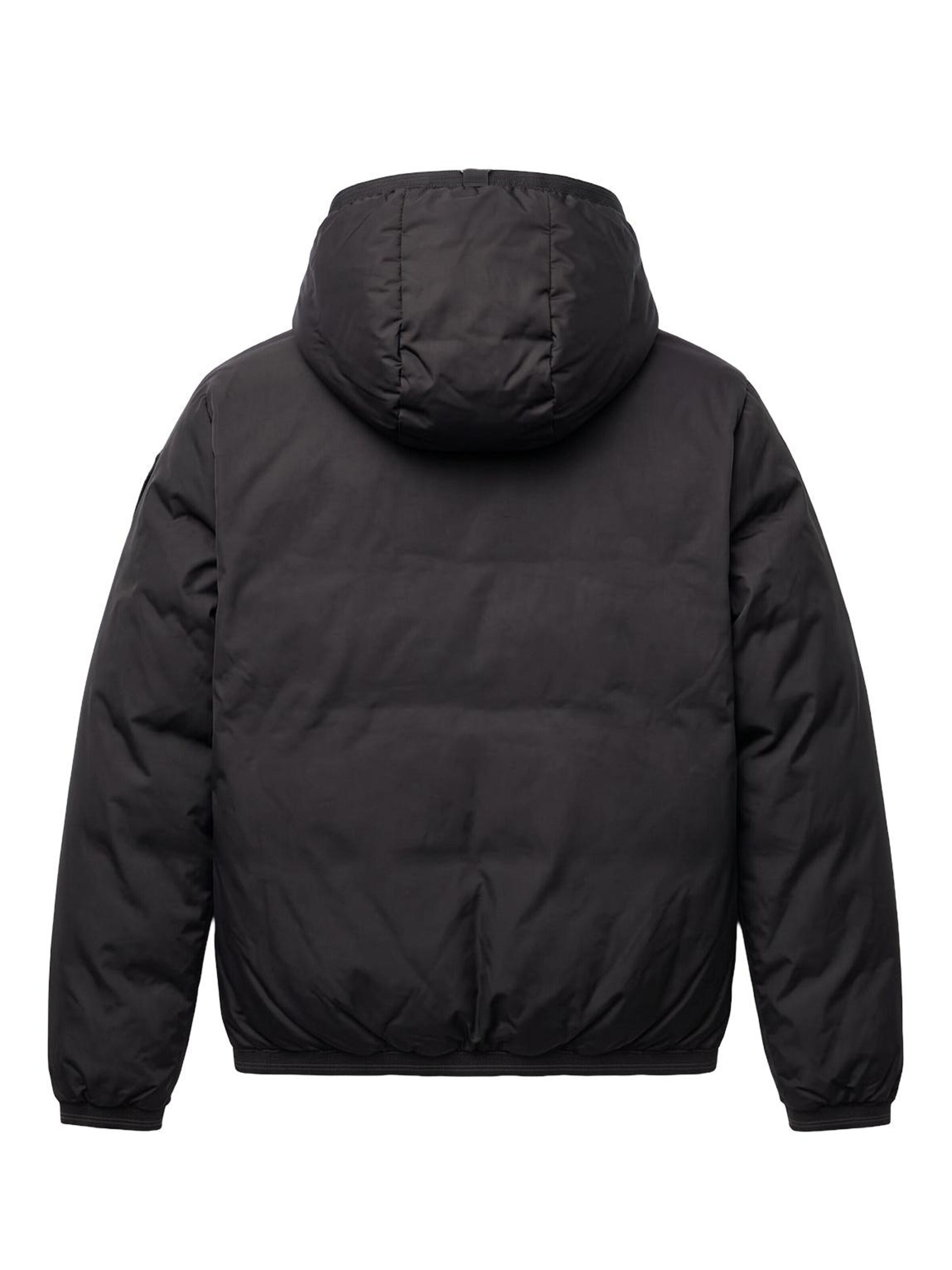Blauer.USA Winterjacke‌‌‌‌‌‌ in Schwarz
