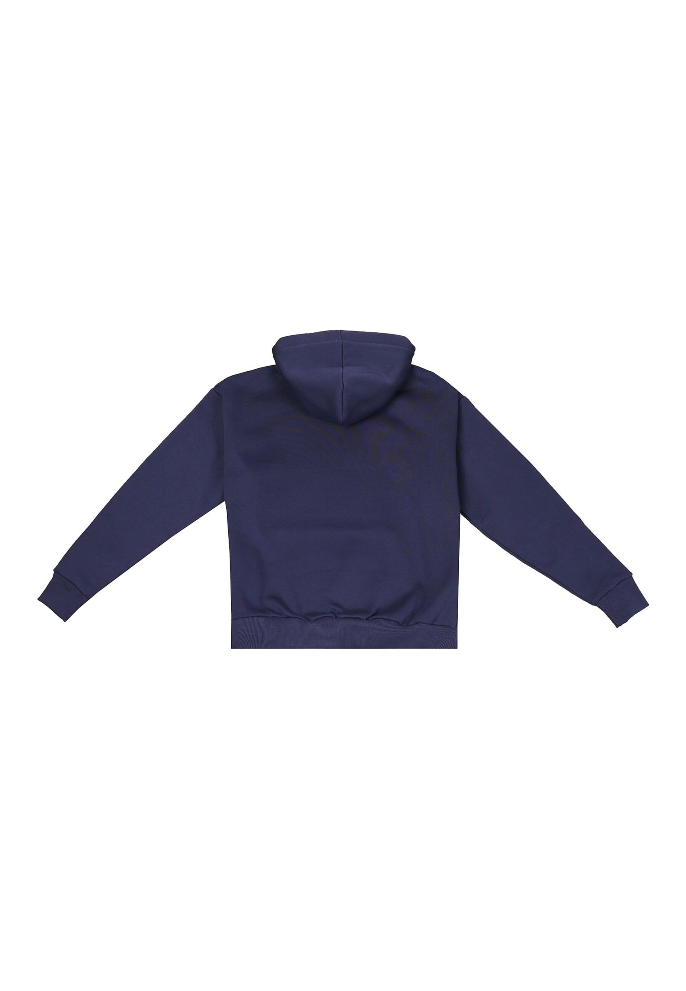 Dropsize Sweatshirt in Blauw