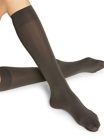 FALKE Overknee Strümpfe 'Seidenglatt'‌‌‌‌‌ in Grau